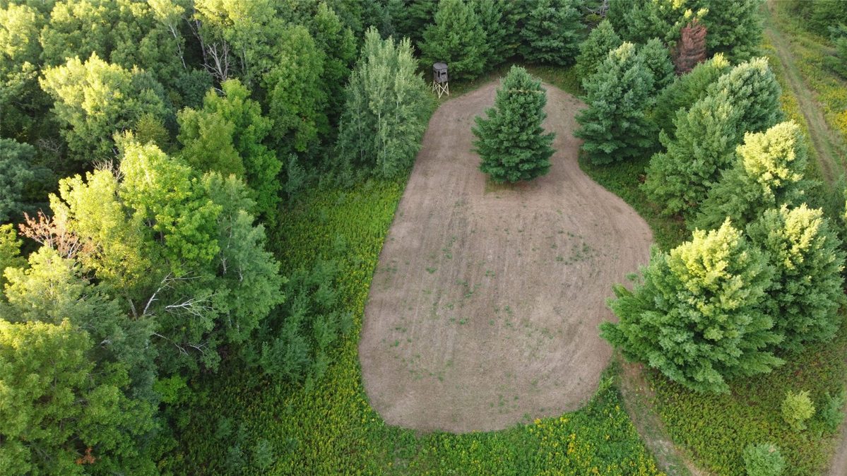 00 340th Avenue, Lewis WI 54837 - Land house for sale - MLS #1604783 - image16