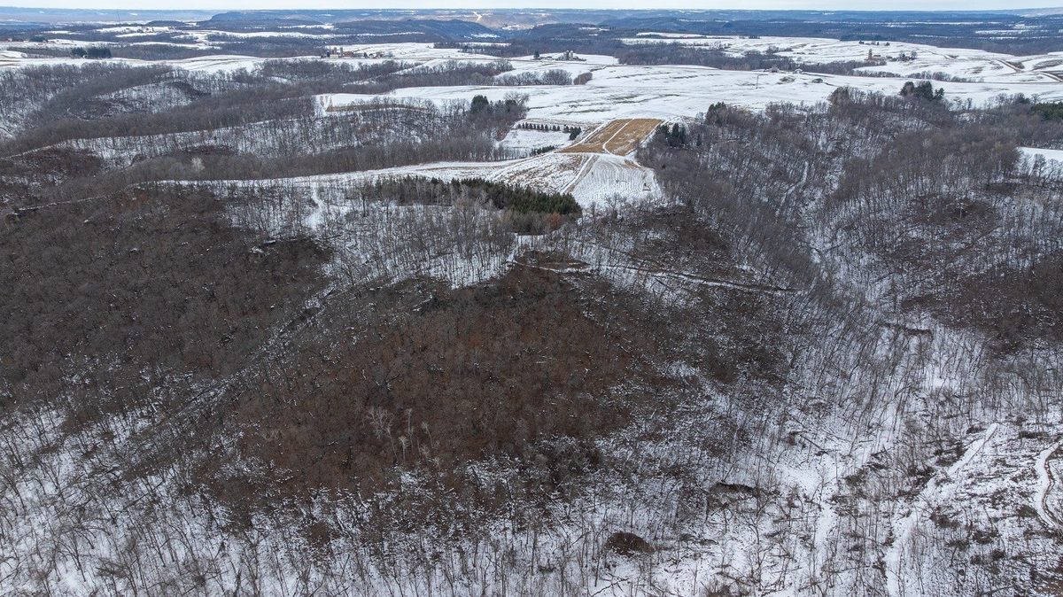 0 Maplewood Lane Alma WI 54610 — photo 11