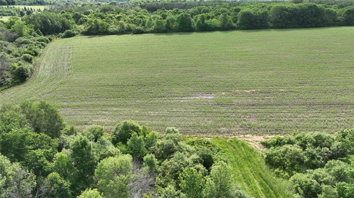 XX County Road BB, Baldwin WI 54002 - Land house for sale - MLS #1602567 - image28