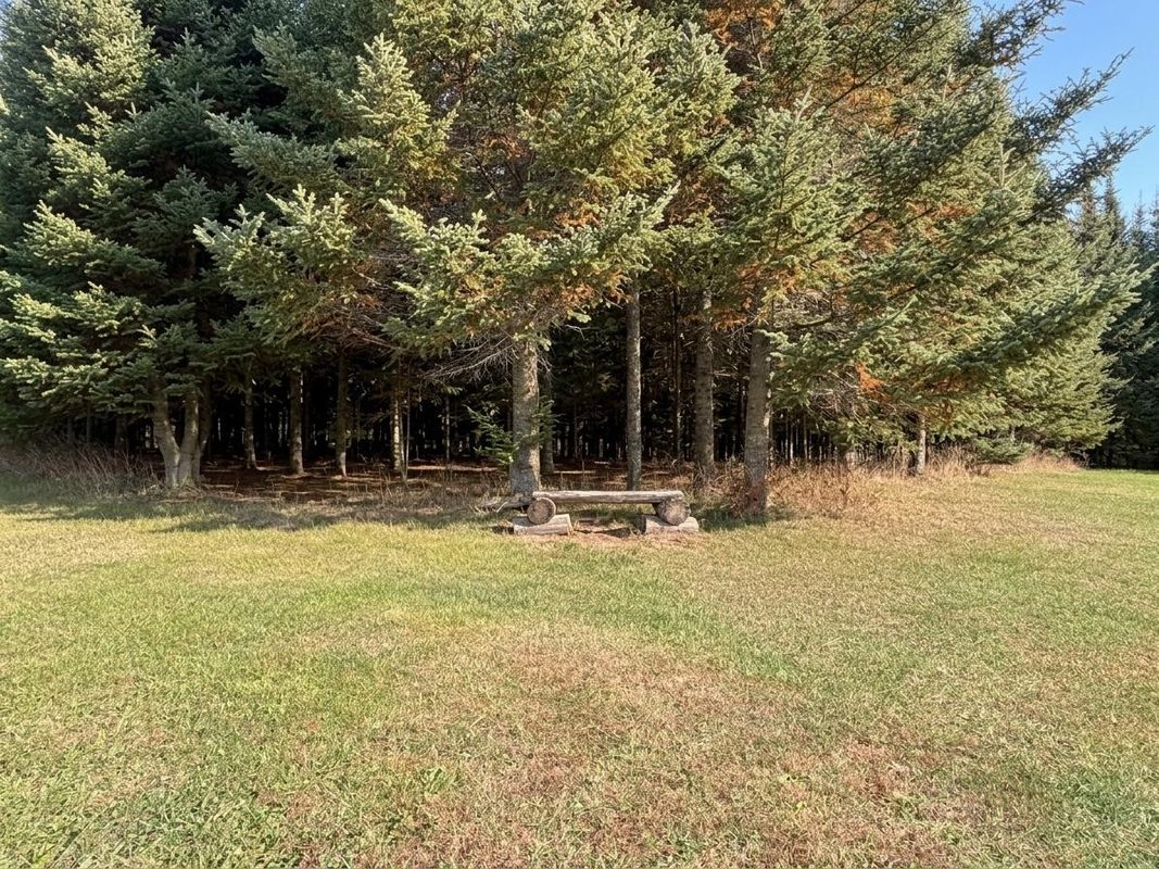 789 29 1/2 Avenue, Barronett WI 54813 - Land house for sale - MLS #1606193 - image13