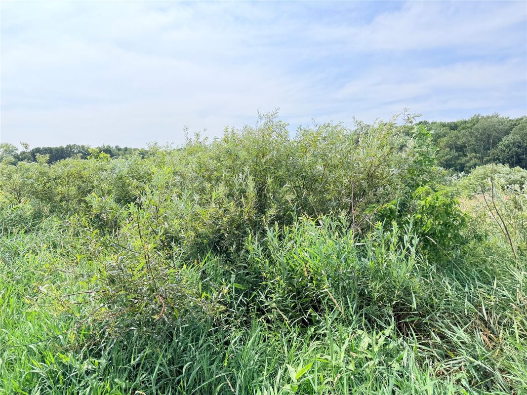 10 Acres Lot 4 230th Street, St Croix Falls WI 54024 - Land house for sale - MLS #1606210 - image20