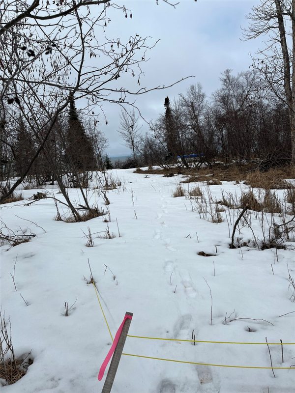 10427 Devries Road, Poplar WI 54864 - Land house for sale - MLS #1599941 - image18