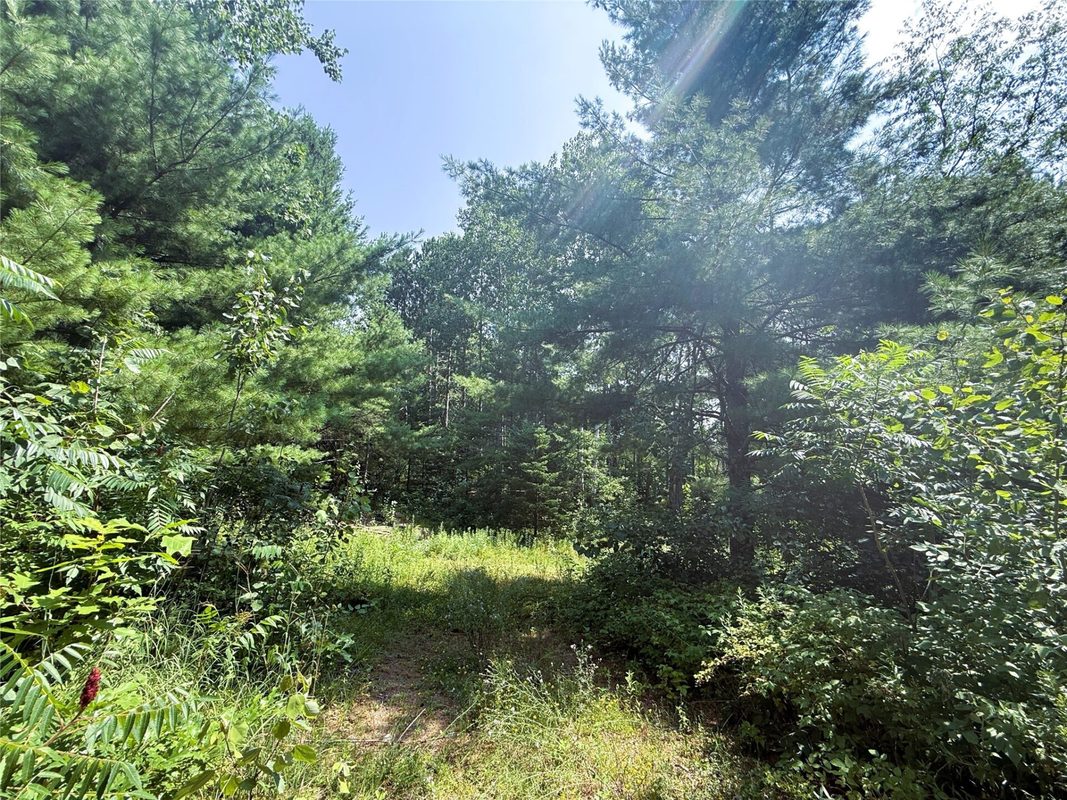 N3720 State Highway 40, Bruce WI 54819 - Land house for sale - MLS #1603658 - image11