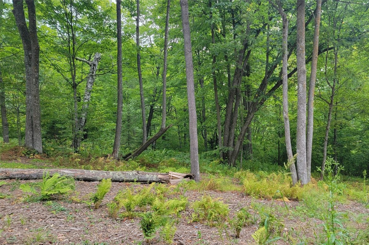 5522N County Highway G, Winter WI 54896 - Land house for sale - MLS #1605127 - image8