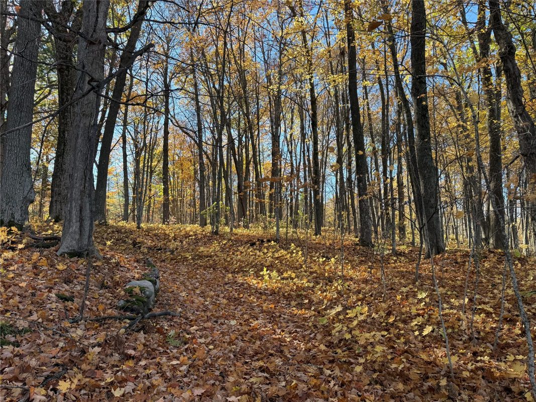 XXX County Hwy MD, Sarona WI 54870 - Land house for sale - MLS #1605948 - image20