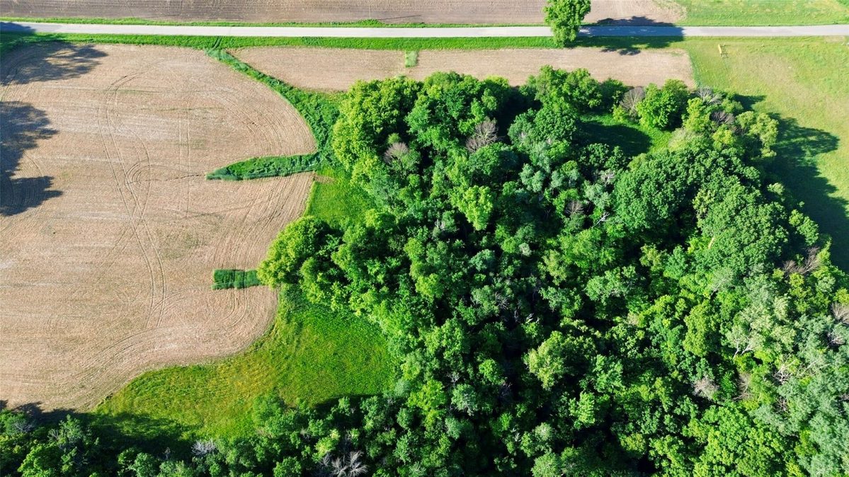15.01 Acres 160th Avenue, Maiden Rock WI 54750 - Land house for sale - MLS #1604580 - image21