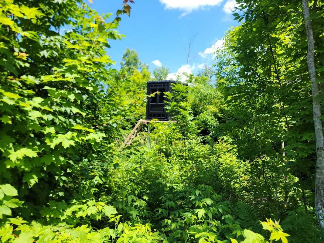 On County Road H, Radisson WI 54867 - Land house for sale - MLS #1603350 - image13