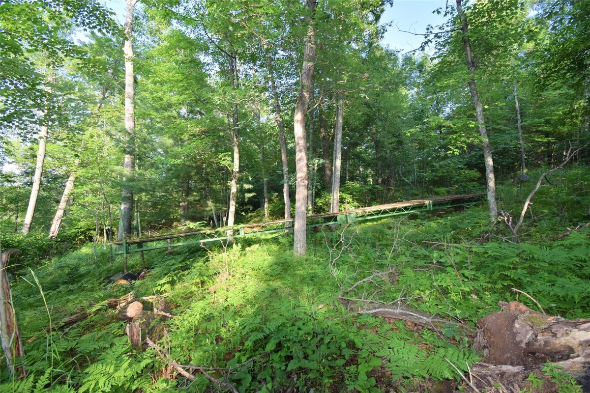 7230 County Road U, Danbury WI 54830 - Land house for sale - MLS #1602895 - image7