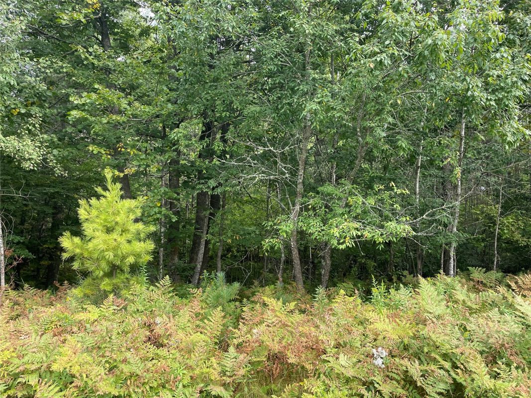 Lot 8 Hermosa Lane, Hayward, WI — photo 3