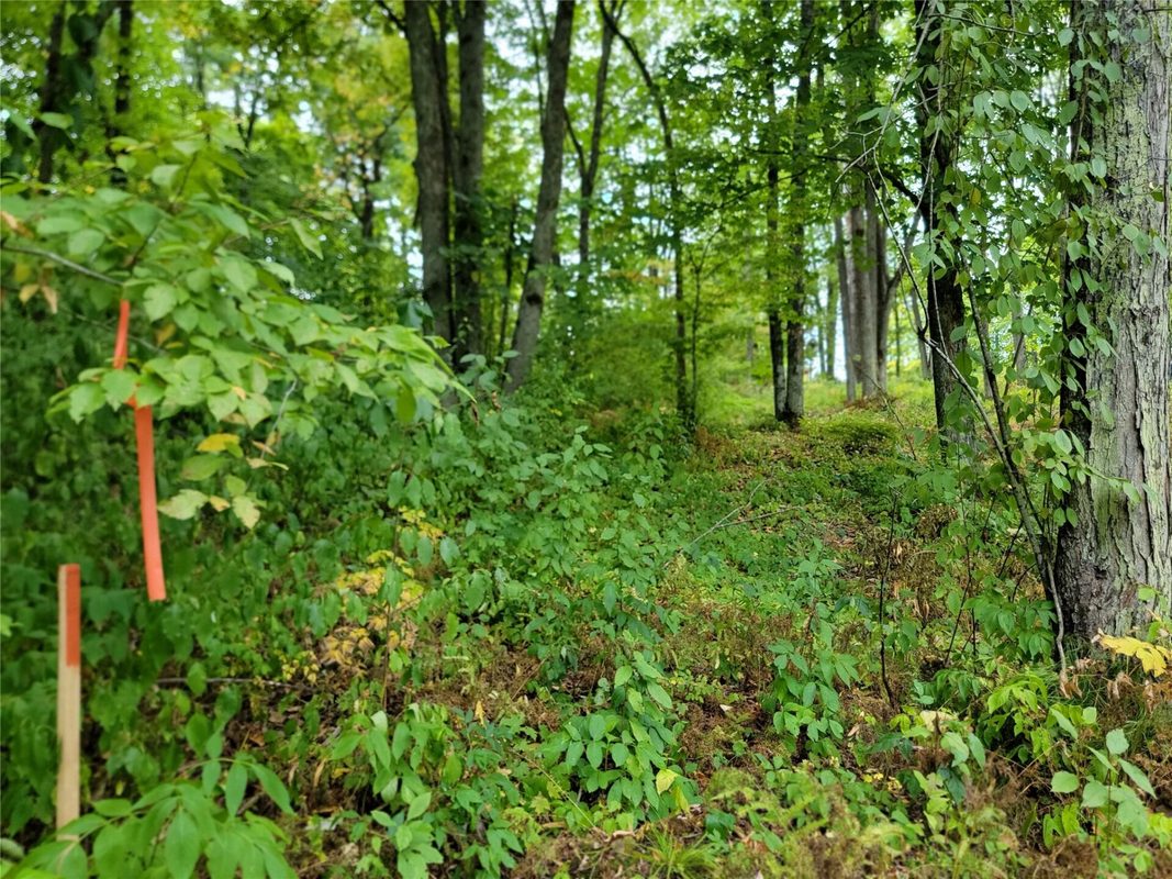 5522N County Highway G, Winter WI 54896 - Land house for sale - MLS #1605127 - image14