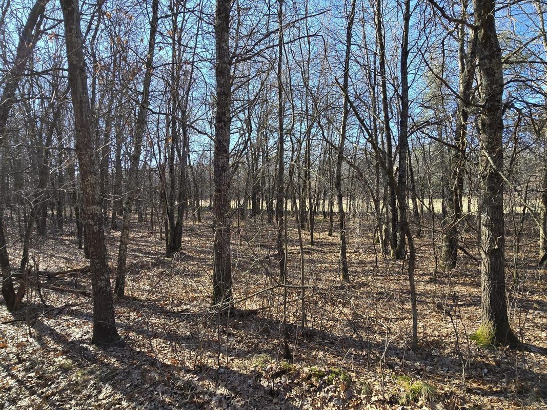 Lot 2 Buck Rub Road Eau Claire WI 54703 — photo 7