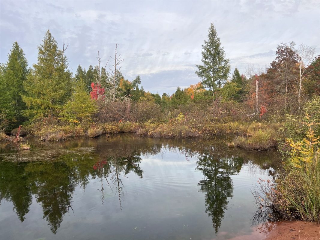 Lot 8 Secluded Lane, Gordon WI 54838 - Land house for sale - MLS #1602293 - image5