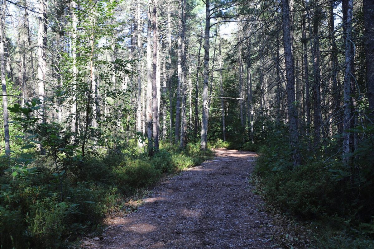 0000 Sand Lake Road, Stone Lake WI 54876 - Land house for sale - MLS #1604299 - image34