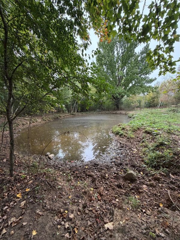986 9th Street, Barron WI 54812 - Farm house for sale - MLS #1605580 - image32