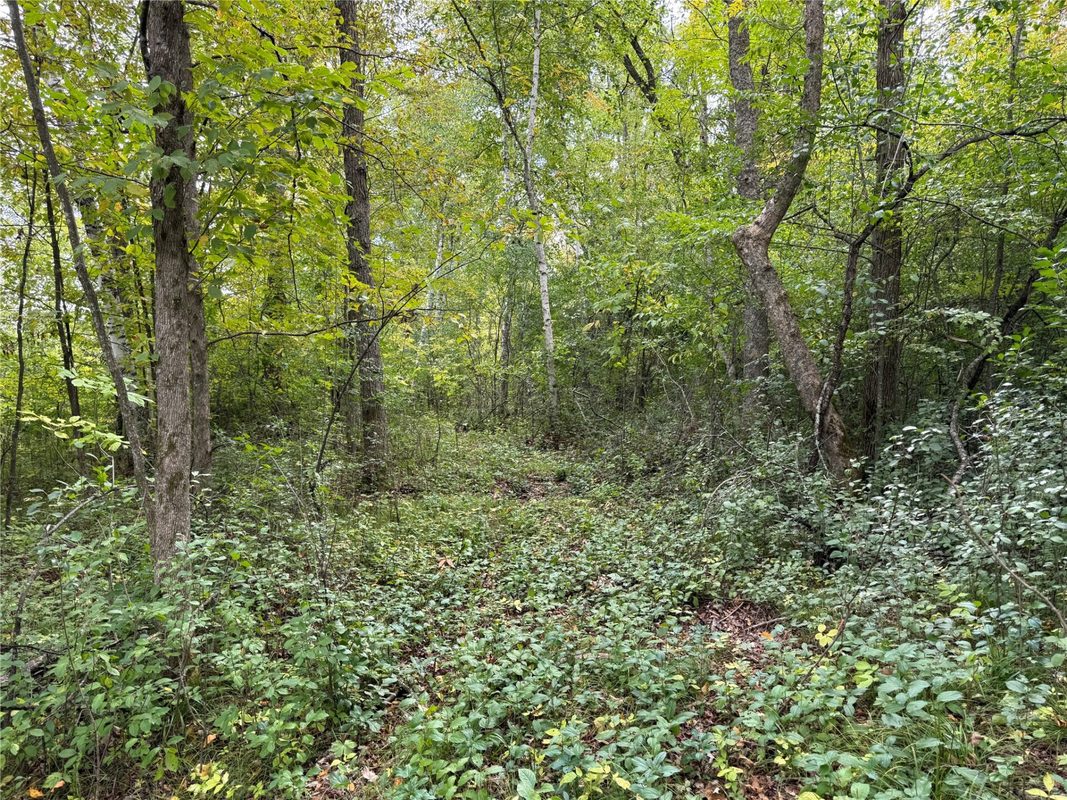 XXX 23 1/2 Street, Rice Lake WI 54868 - Land house for sale - MLS #1605312 - image27