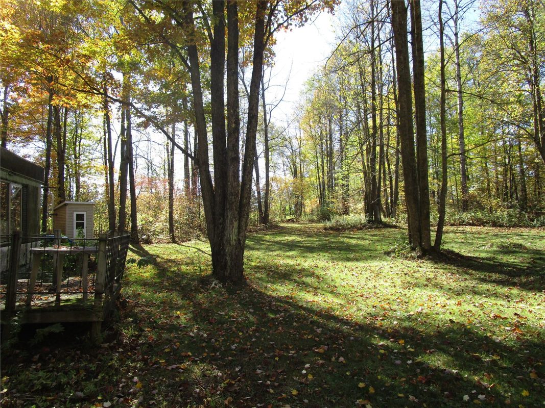 N7110 Hackett Road, Hawkins WI 54530 - Land house for sale - MLS #1600843 - image19