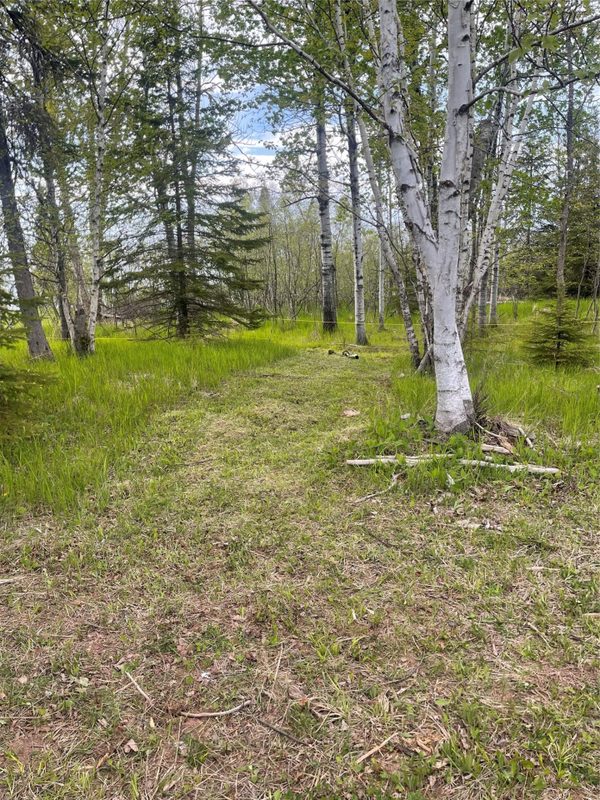 10427 Devries Road, Poplar WI 54864 - Land house for sale - MLS #1599941 - image9