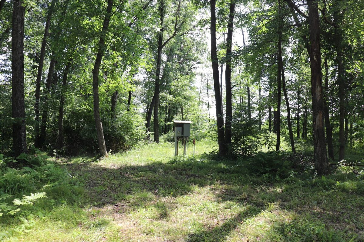 S11305 Kempton Road, Augusta WI 54722 - Land house for sale - MLS #1602723 - image15