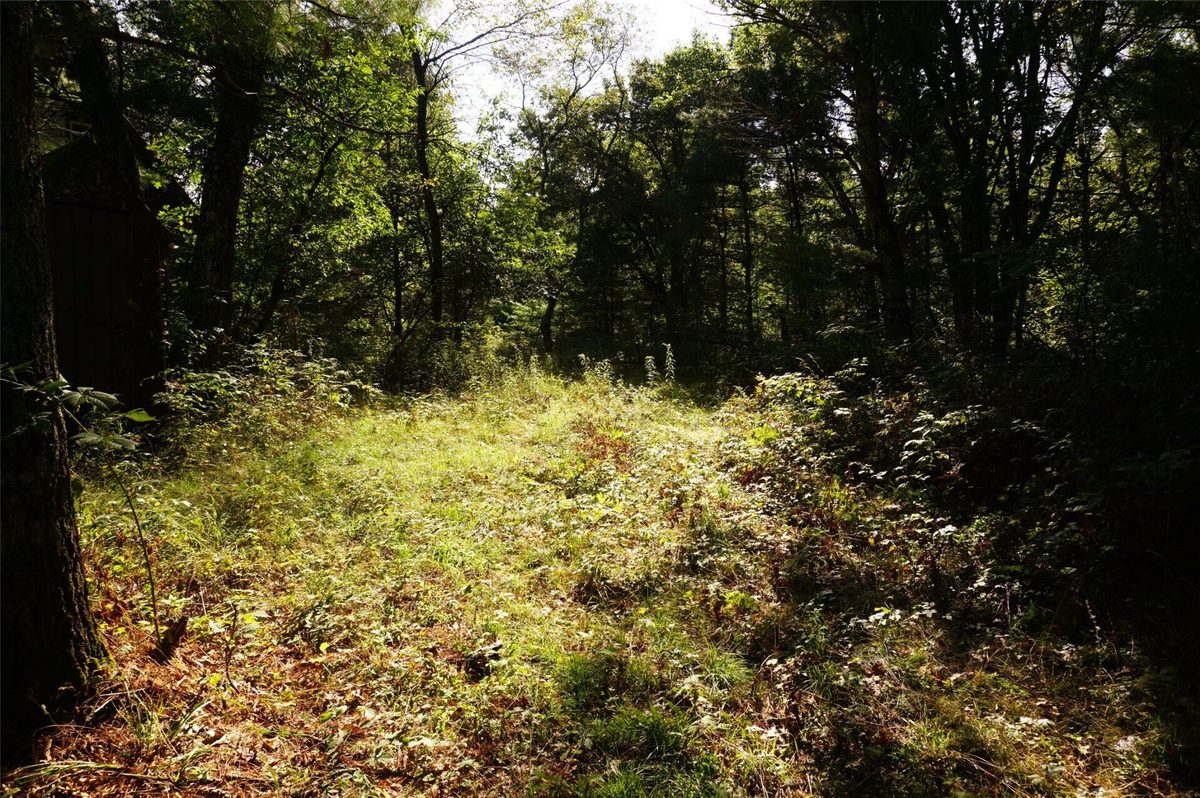 N9105 Flood -- Lot 5 Road, Black River Falls WI 54615 - Land house for sale - MLS #1605206 - image6