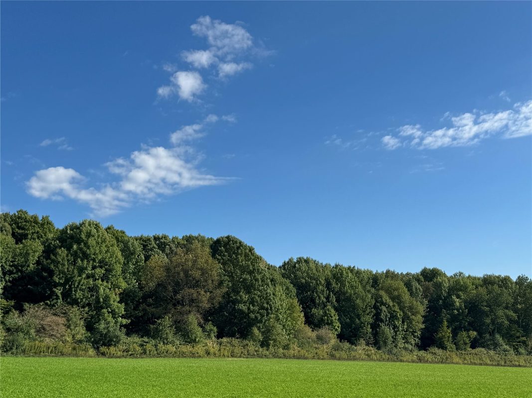 OOO County Road L, Merrill WI 54452 - Land house for sale - MLS #1605059 - image3
