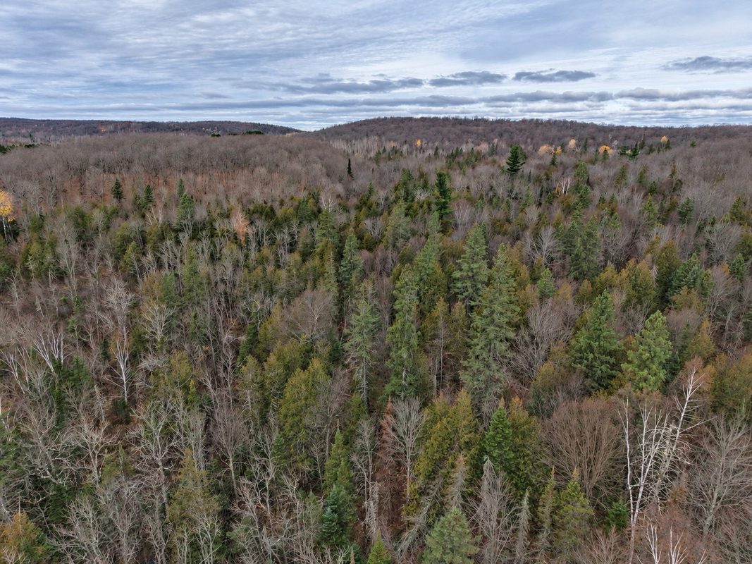 76886 Red House Road, Mellen WI 54546 - Land house for sale - MLS #1606363 - image16