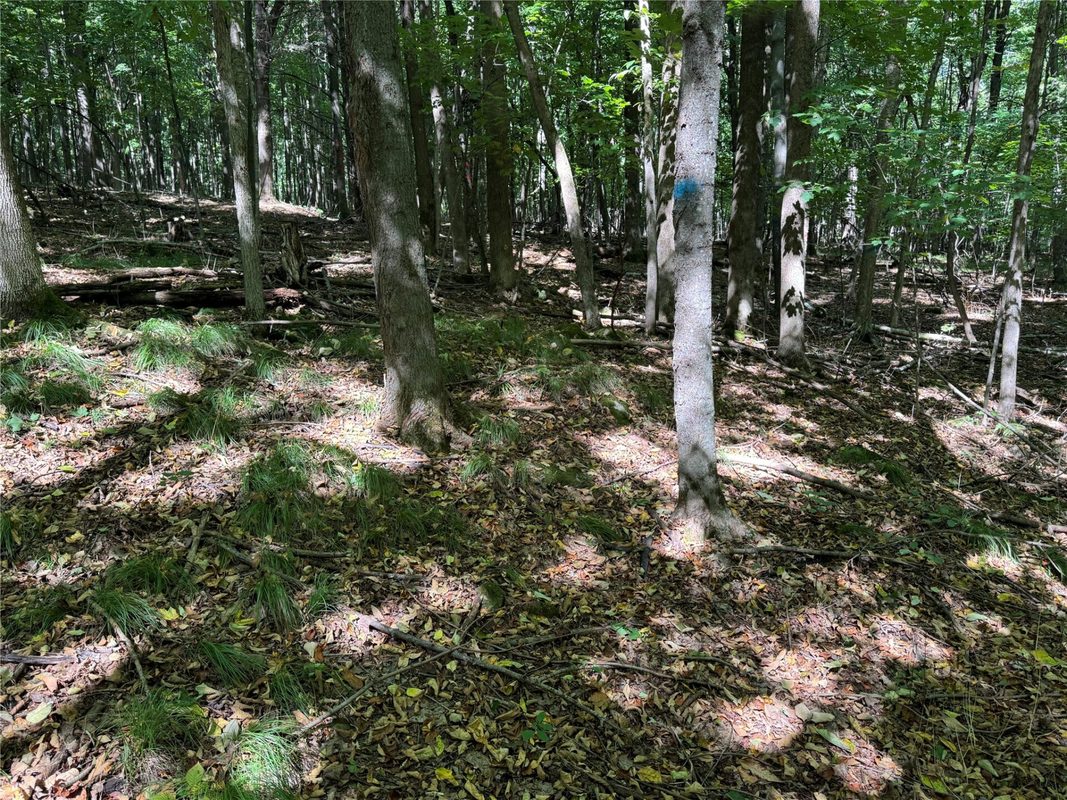 OOO County Road L, Merrill WI 54452 - Land house for sale - MLS #1605059 - image33