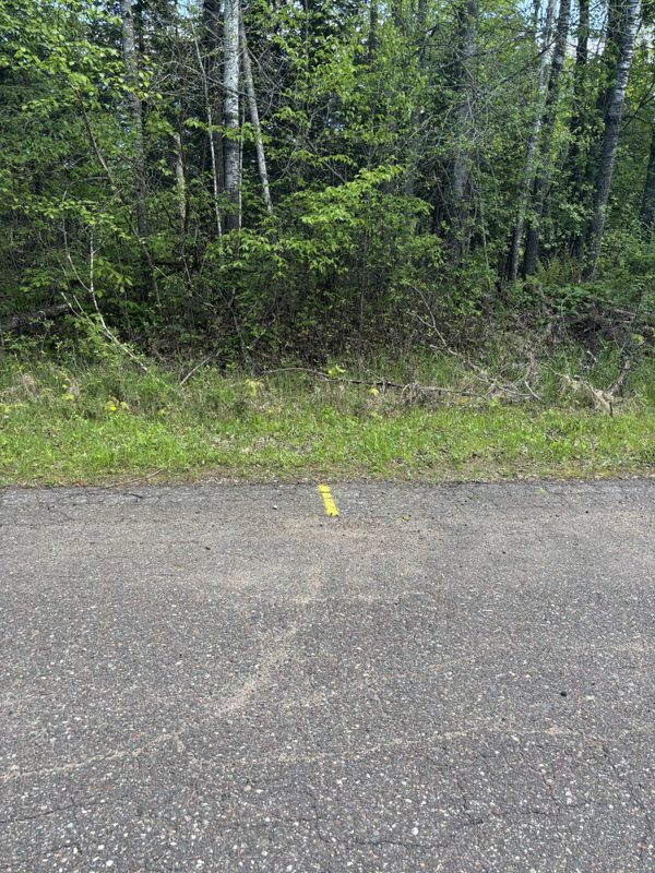 N3860 Kostka Road, Ladysmith WI 54848 - Land house for sale - MLS #1601876 - image3