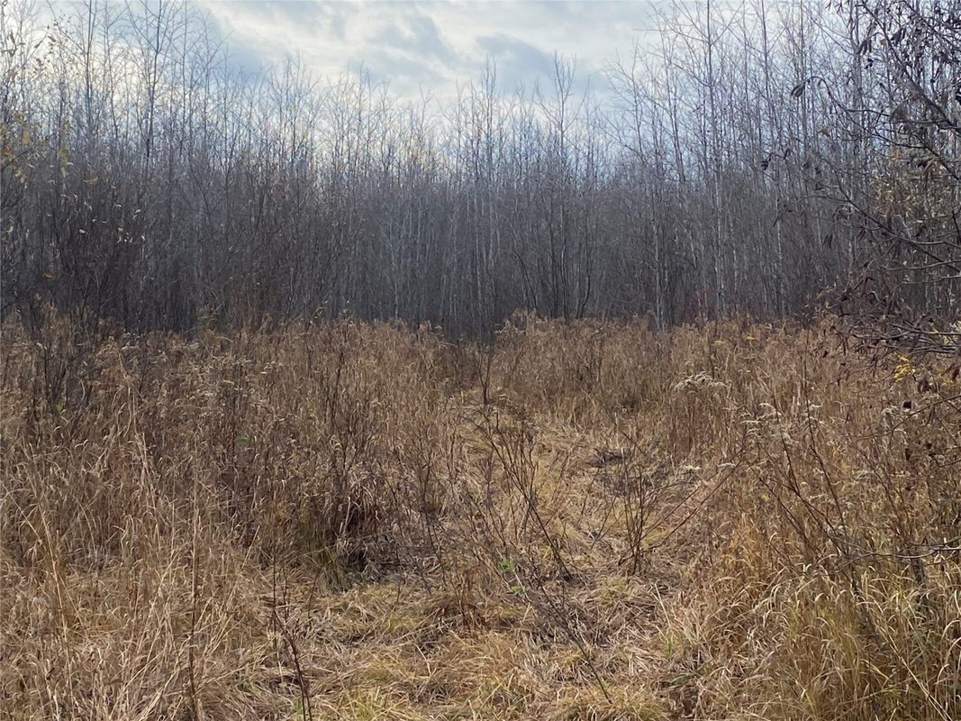 Near Timber Road Catawba WI 54515 — photo 4