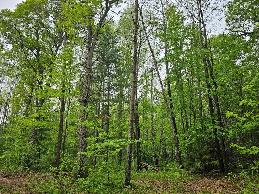 25227 Kruger Road, Webster WI 54893 - Land house for sale - MLS #1601553 - image9