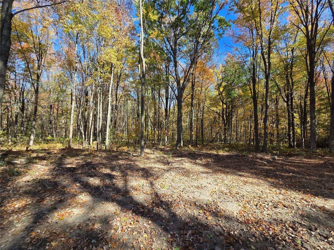 2541 County Hwy D, Boyd WI 54726 - Land house for sale - MLS #1605930 - image11