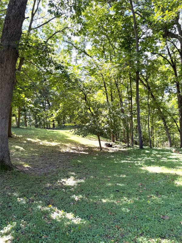N31781 Skunk Hollow Road, Blair WI 54616 - Residential house for sale - MLS #1605054 - image34