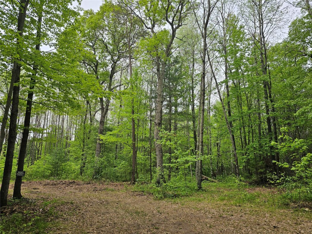 25227 Kruger Road, Webster WI 54893 - Land house for sale - MLS #1601553 - image2