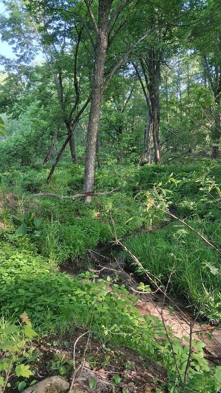 W14006 County Road B, Fairchild WI 54741 - Land house for sale - MLS #1601905 - image10