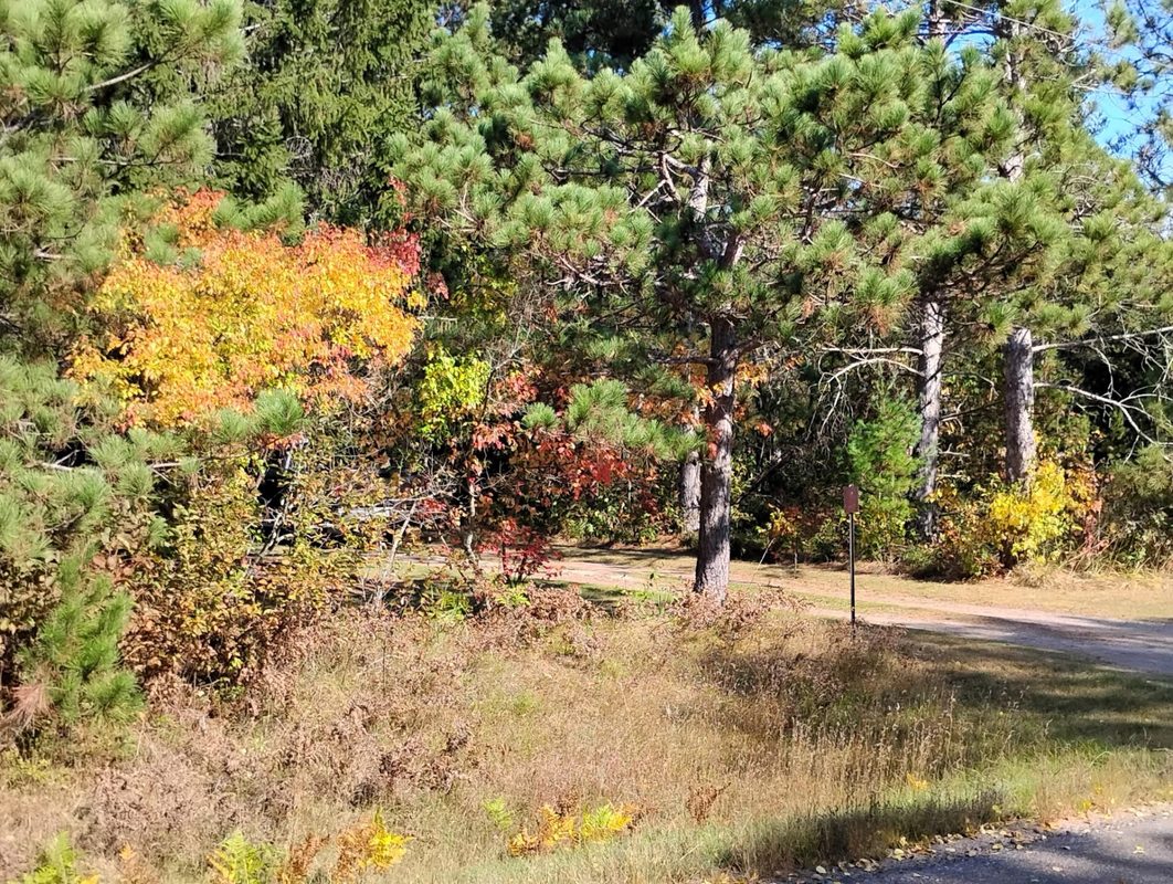 W3602 Willers Road, Springbrook WI 54875 - Residential house for sale - MLS #1602817 - image15