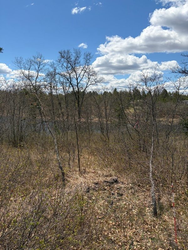 Lot 2 Sleepy Eye Road, Minong WI 54859 - Land house for sale - MLS #1602148 - image9
