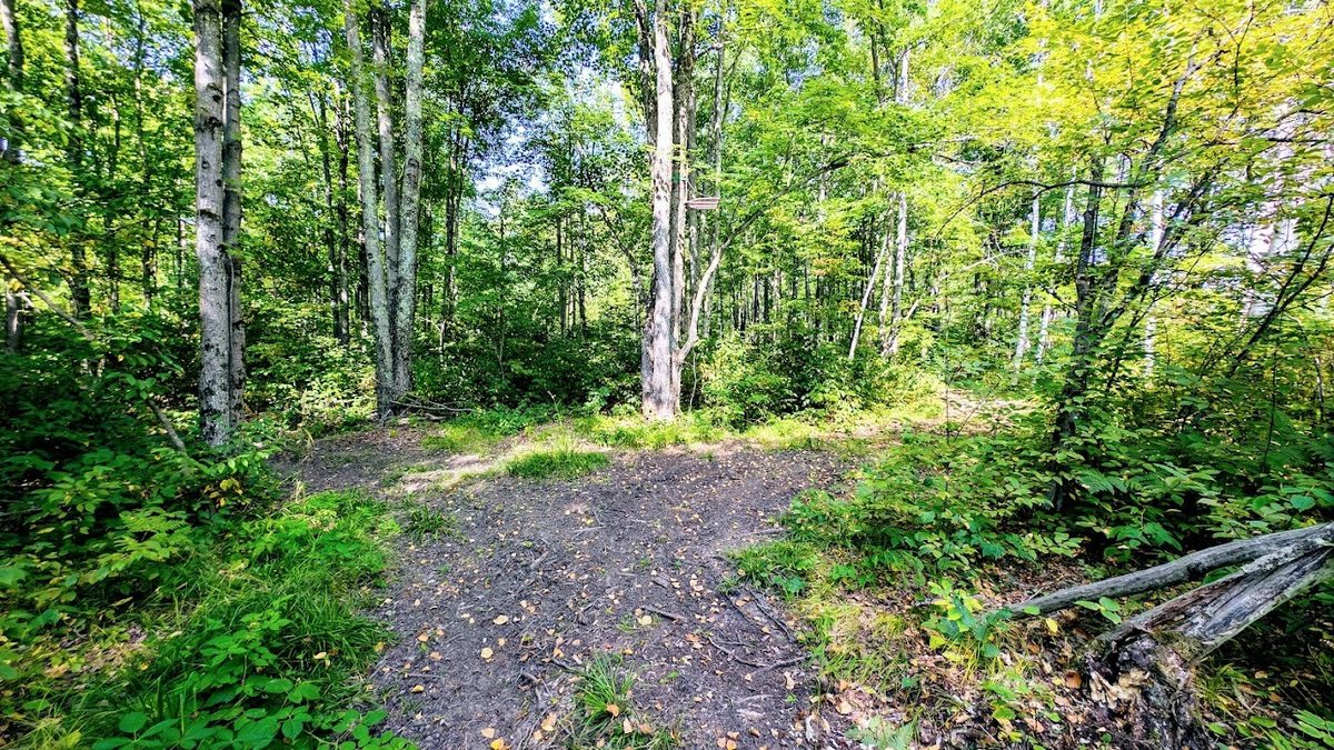W8185 County Road J, Ladysmith WI 54848 - Land house for sale - MLS #1604406 - image22