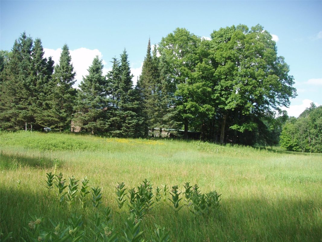 2460N County Highway FF, Butternut WI 54514 - Residential house for sale - MLS #1602950 - image31