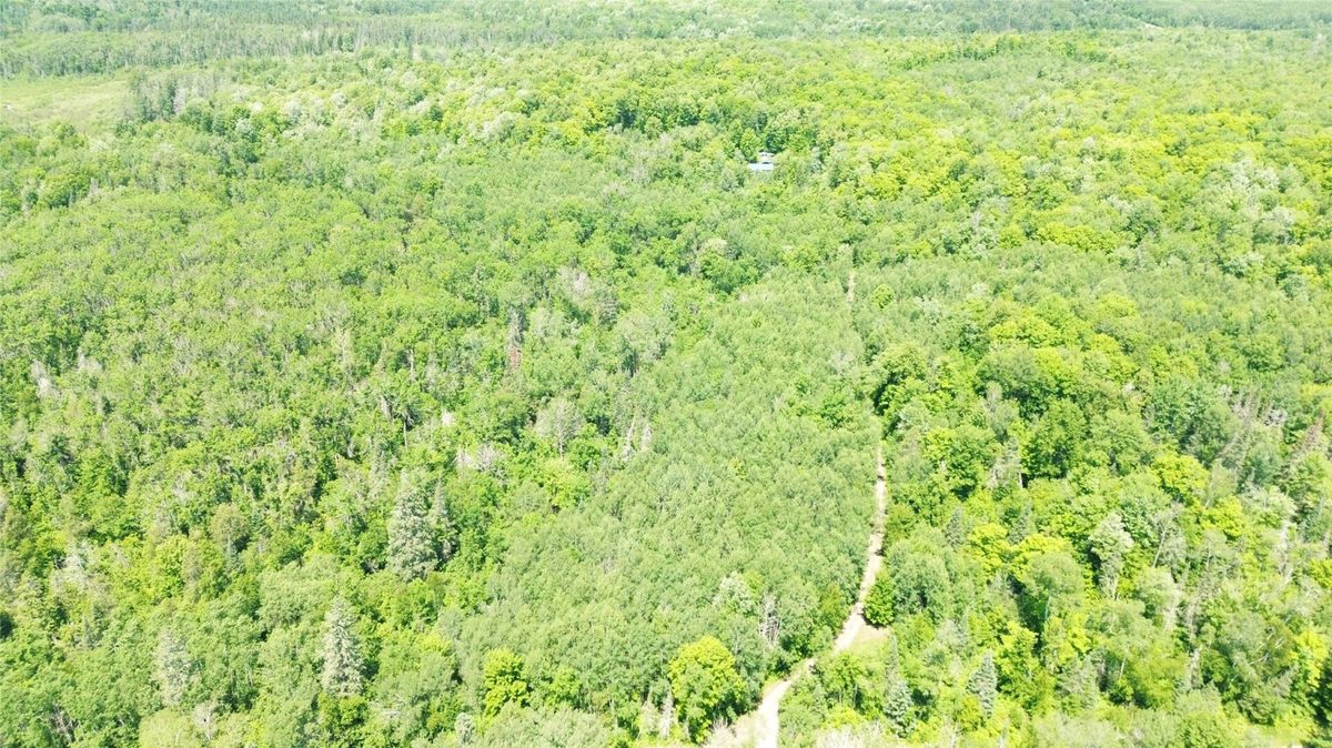7154 Mc Dermott Road, Winter WI 54896 - Residential house for sale - MLS #1602865 - image58