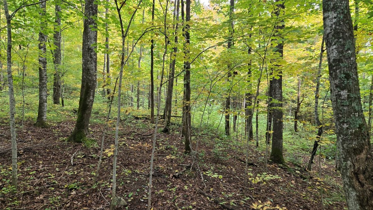 Lot 2 Lakeview LN., Exeland, WI — photo 4