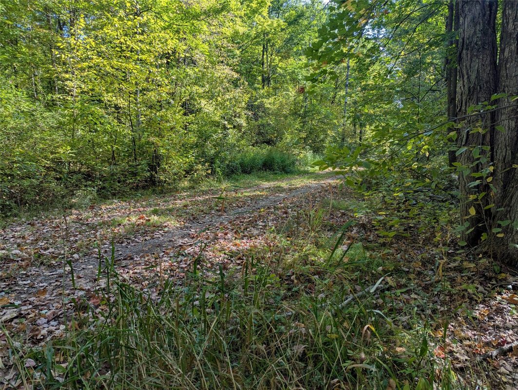 Lot 17 Rabbit Run, Ojibwa WI 54862 - Land house for sale - MLS #1605249 - image6