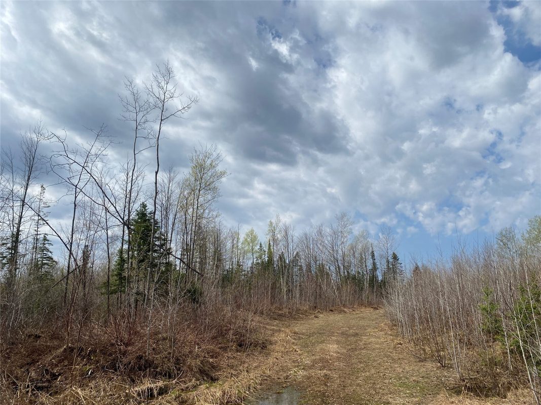Near Wilson Lake Road Phillips WI 54555 — photo 5