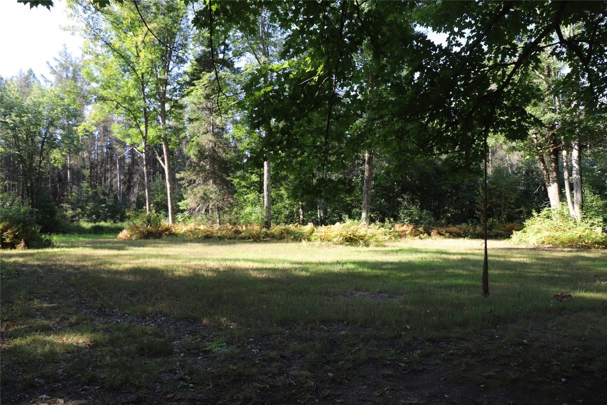 0000 Sand Lake Road, Stone Lake WI 54876 - Land house for sale - MLS #1604299 - image28