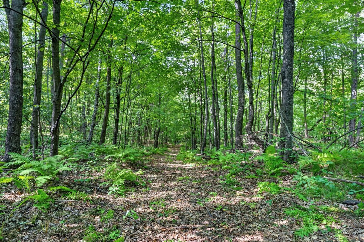 XXX County Hwy B, Shell Lake WI 54871 - Residential house for sale - MLS #1604550 - image18