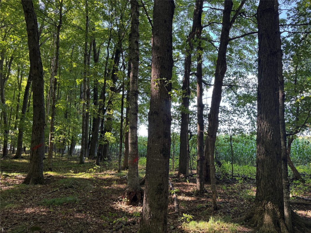 OOO County Road L, Merrill WI 54452 - Land house for sale - MLS #1605059 - image11
