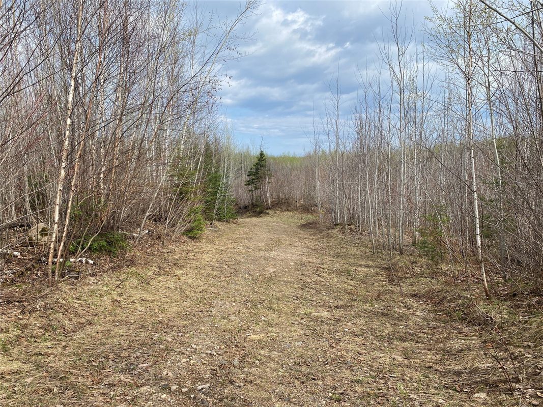 Near Wilson Lake Road Phillips WI 54555 — photo 5
