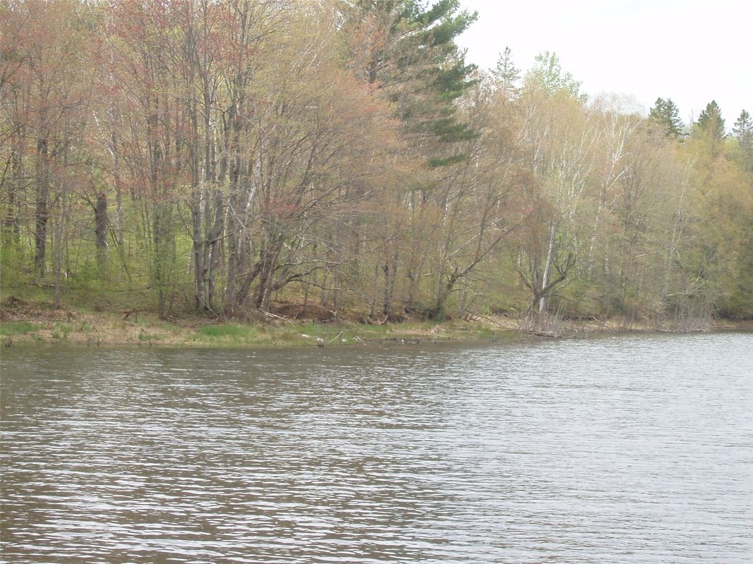 N16473 Patterson Lake Road, Park Falls WI 54552 - Land house for sale - MLS #1603551 - image4