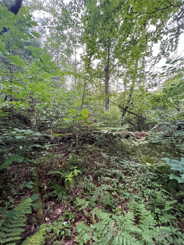 16876 Southview Trail, Stone Lake WI 54876 - Land house for sale - MLS #1599724 - image17