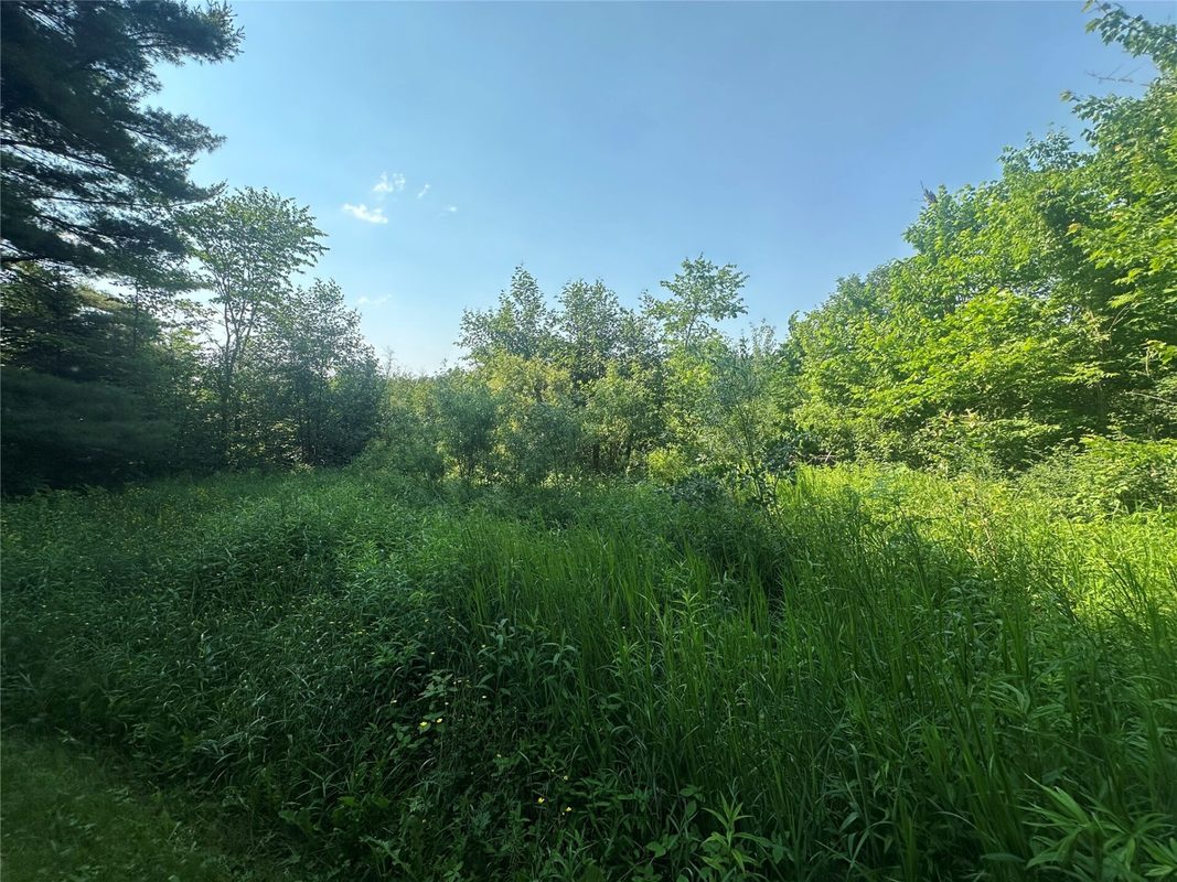 6901 Zett Road, Loretta WI 54896 - Residential house for sale - MLS #1602873 - image12