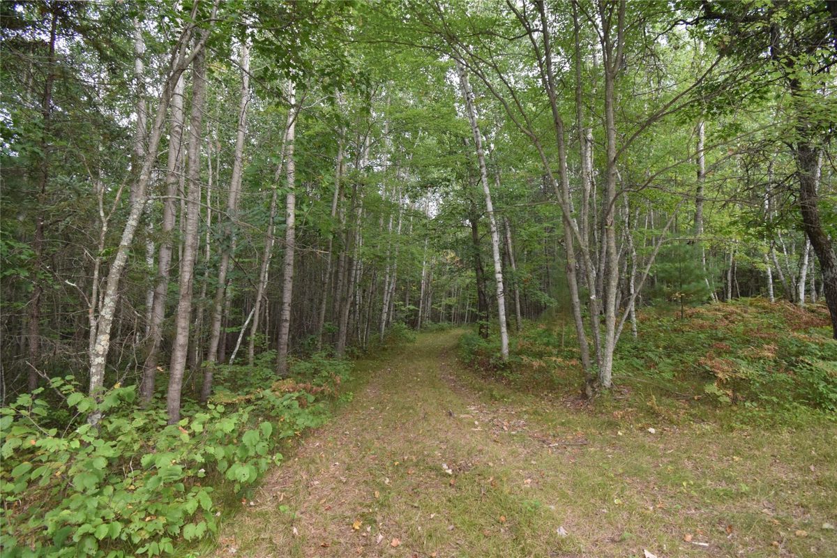 28206 Pardun Road, Danbury WI 54830 - Land house for sale - MLS #1604938 - image17