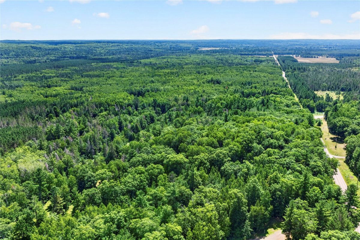 Lot 1 Larsen Road, Hayward WI 54843 - Land house for sale - MLS #1605635 - image14
